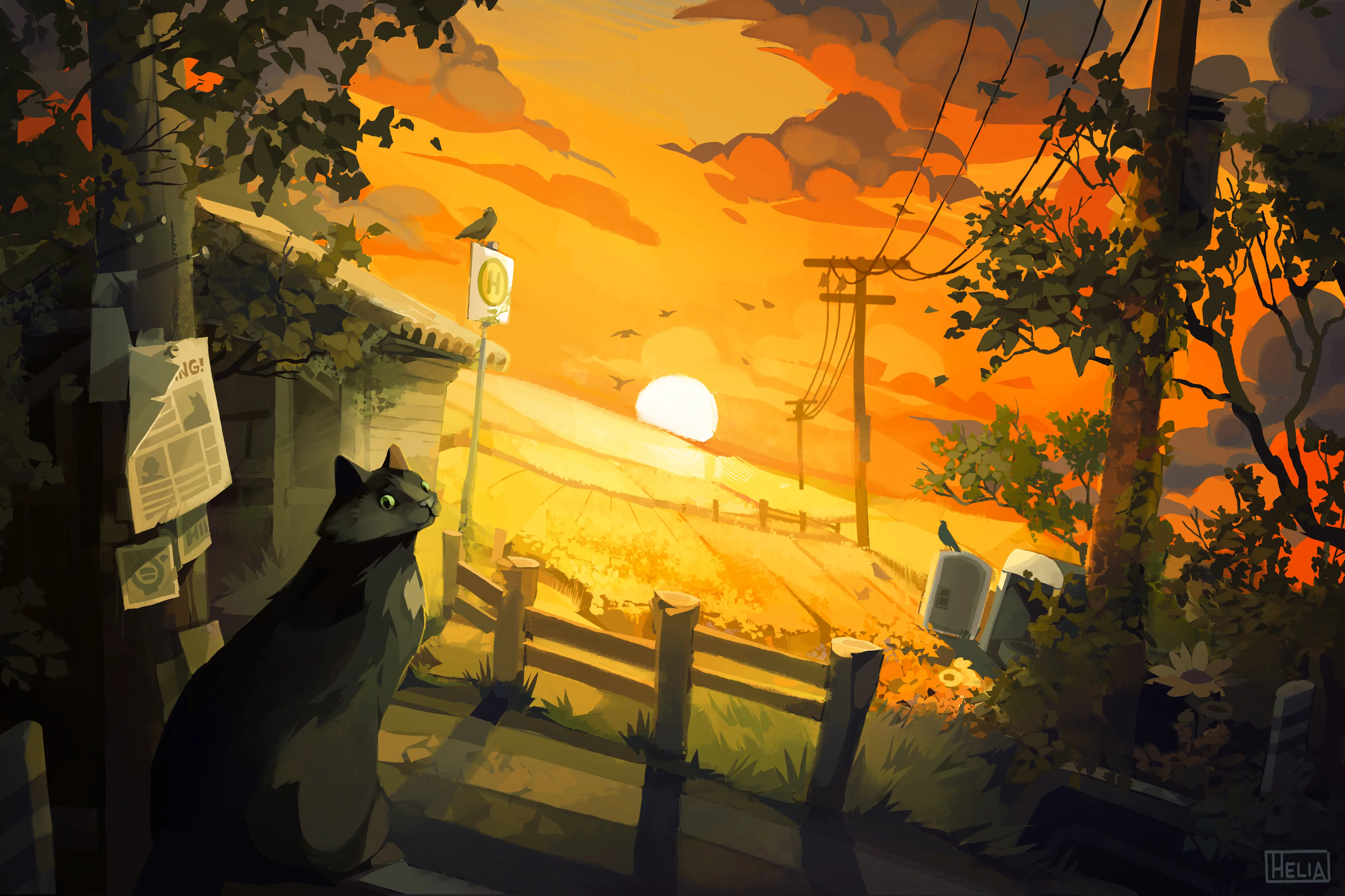 By the Fields - In Memory of Klara - The fluffy little void creature that accompanied me on this journey for almost 16 long years.